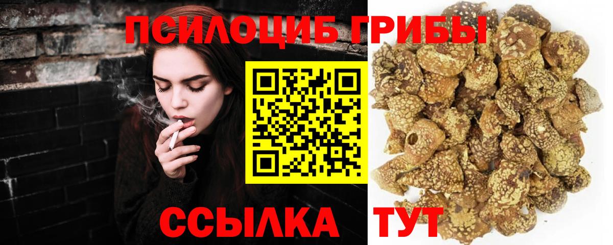 Мариинск  Галлюциногенные грибы прущие грибы  Вход с VPN  Галлюциногенные грибы GOLDEN TEACHER 